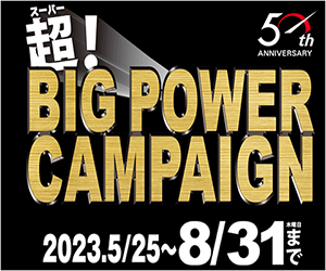 HKS BIG POWER CAMPAIGN