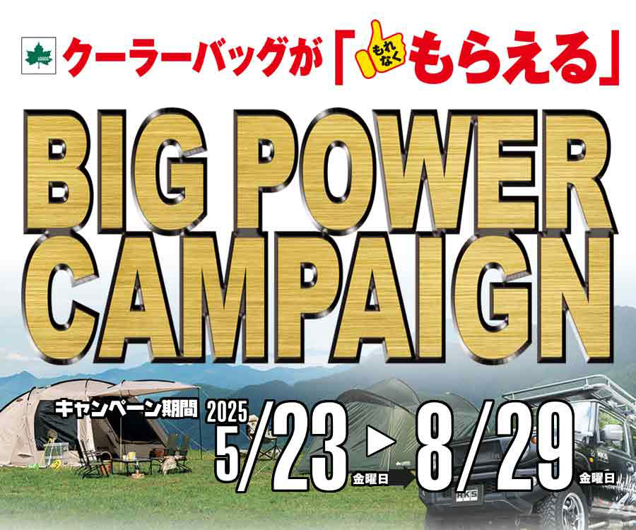 BIG POWER CAMPAIGN